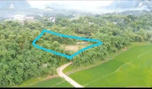 Đất nền lô góc Sào Báy Kim Bôi 1073m² chỉ 6.438 tỷ - Tiềm năng đầu tư lớn!