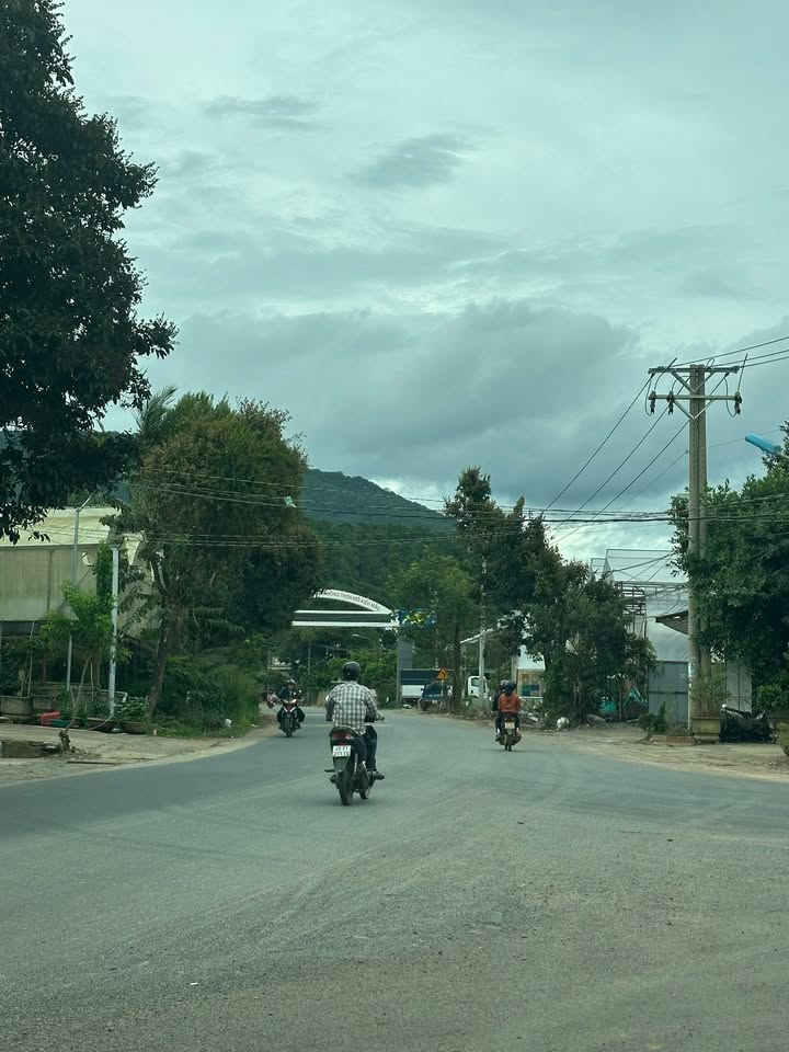 Đất mặt tiền đường DH15 xã Quảng Lập 540m² giá 4.6 tỷ - Pháp lý rõ ràng, sẵn sàng giao dịch!