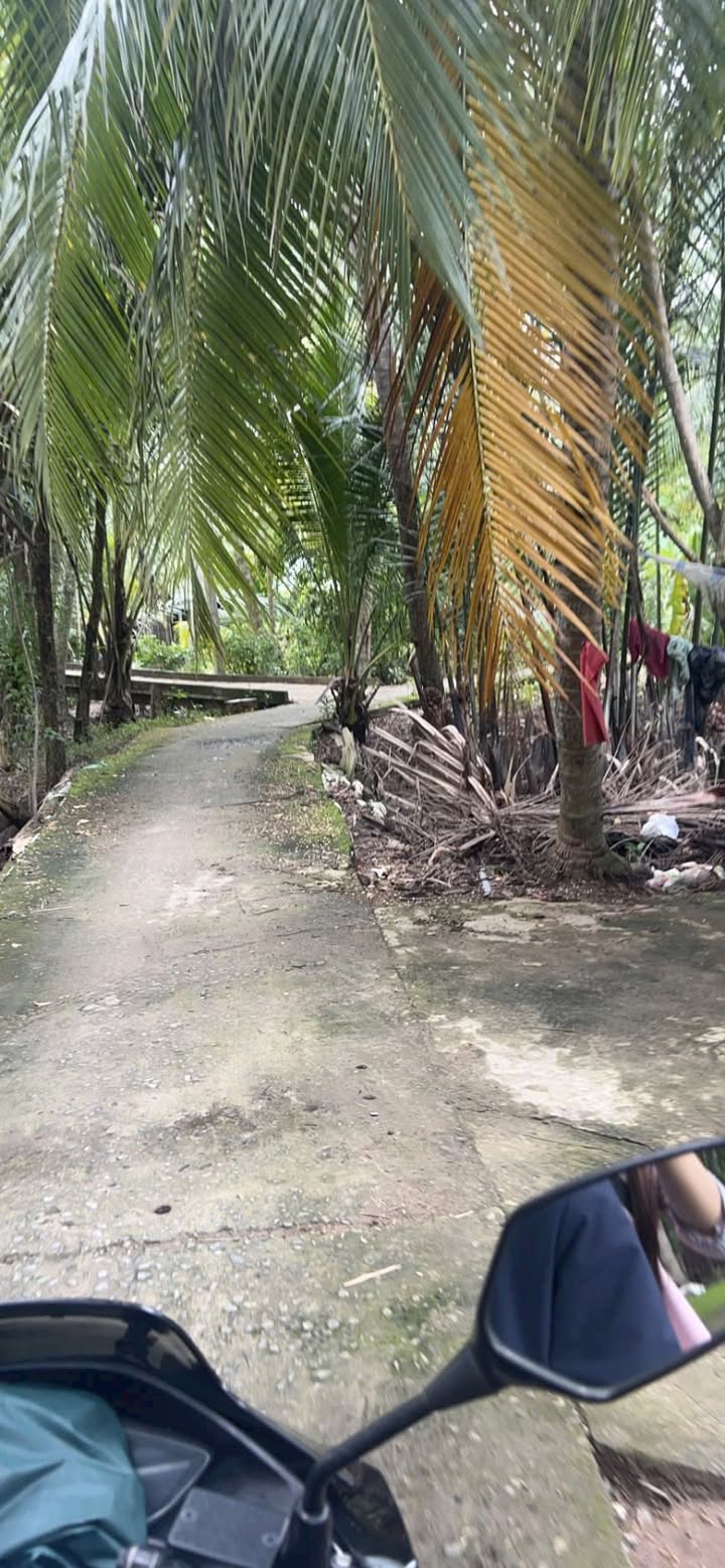 Đất nền 9000m² Tân Thành Bình, Mỏ Cày Bắc - Đầu tư sinh lời, giá chỉ 3.6 tỷ!