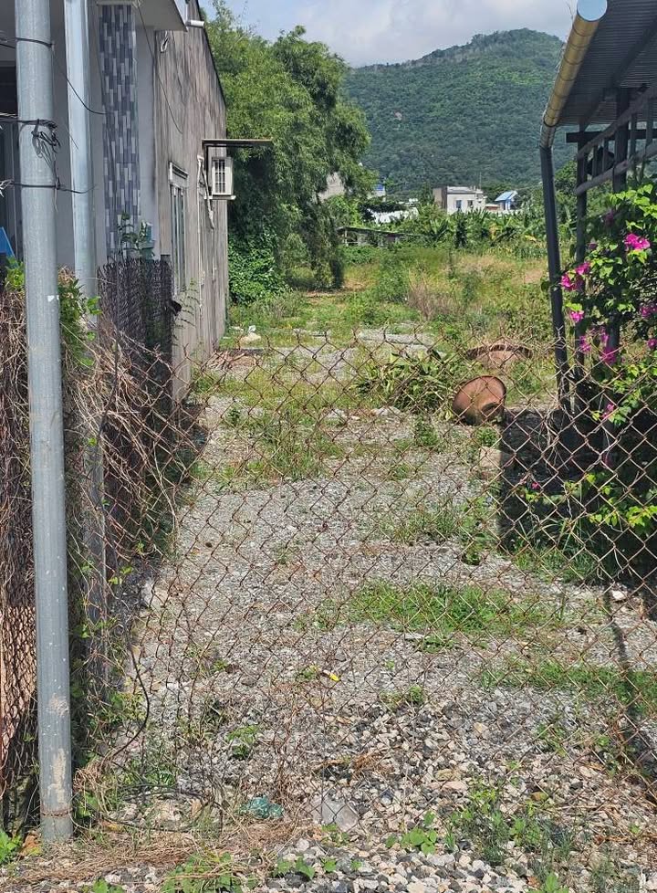 Đất nền Tân Hưng Bà Rịa 598m² giá 3.5 tỷ - Thương lượng hấp dẫn!