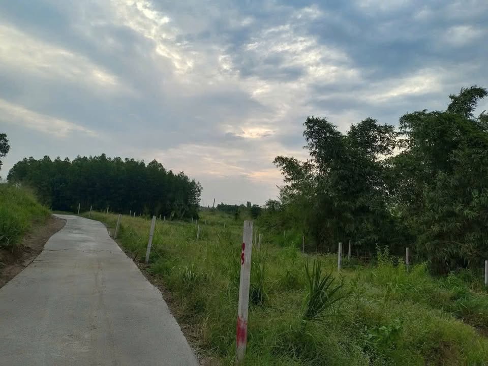 Đất thổ cư Hồ Tràm 104m² giá 880 triệu - Cơ hội đầu tư vàng!