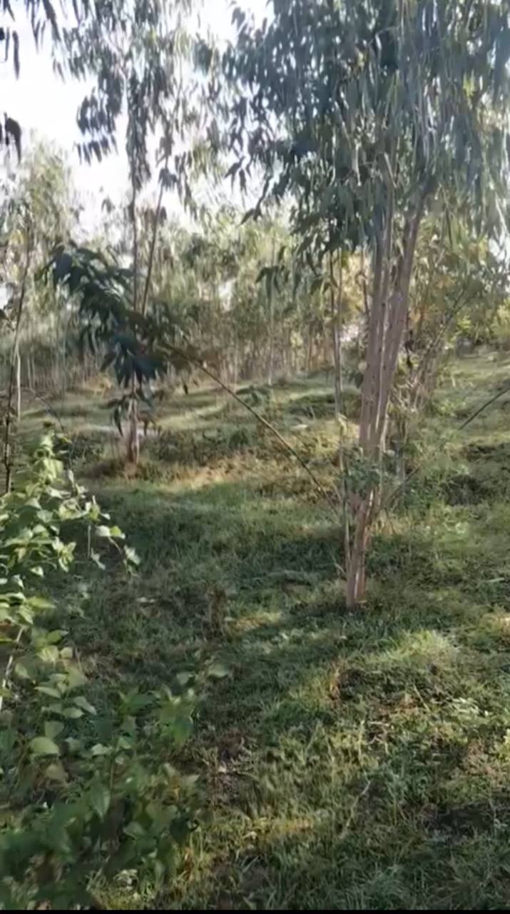 Đất nông nghiệp 38.000m² tại Hòa Sơn, Ninh Sơn giá 1.2 tỷ - Đầu tư sinh lời ngay!