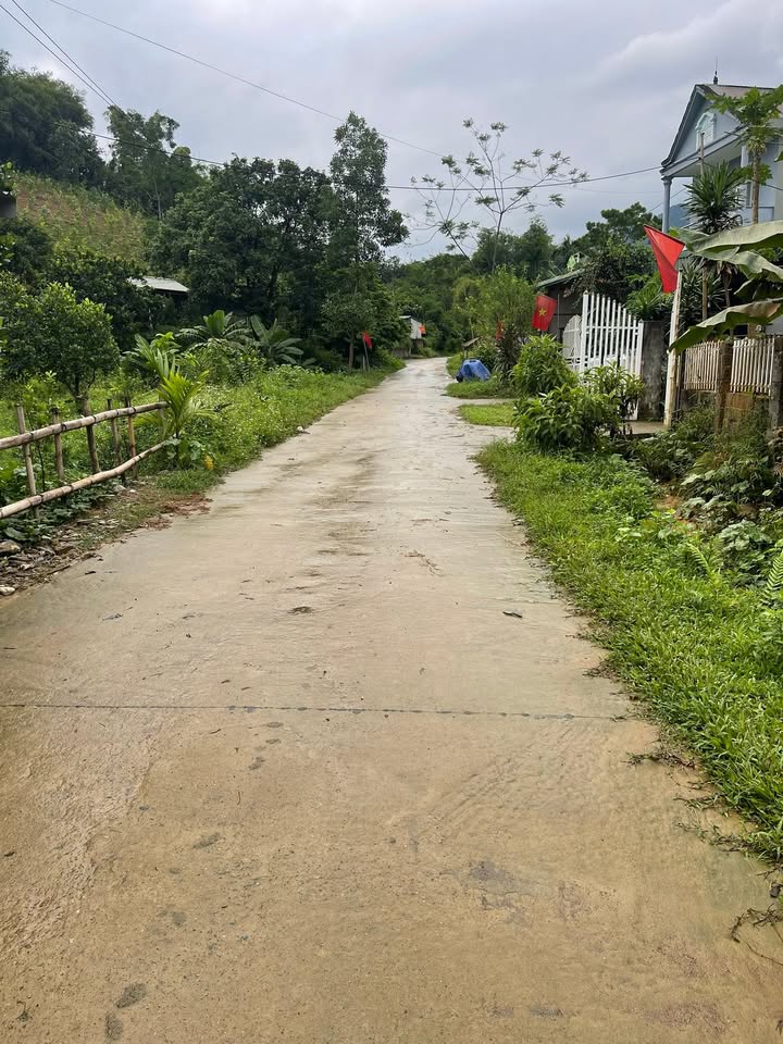 Đất Farm 800m² tại Tân Lạc, Hoà Bình - Giá chỉ 500-600 triệu, đầu tư sinh lời ngay!