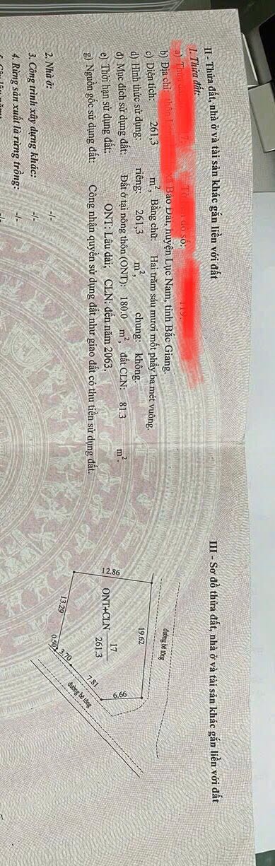 Đất thổ cư 263m² Bảo Đài, Lục Nam - Giá 1.2 tỷ, ô tô vào tận nơi!