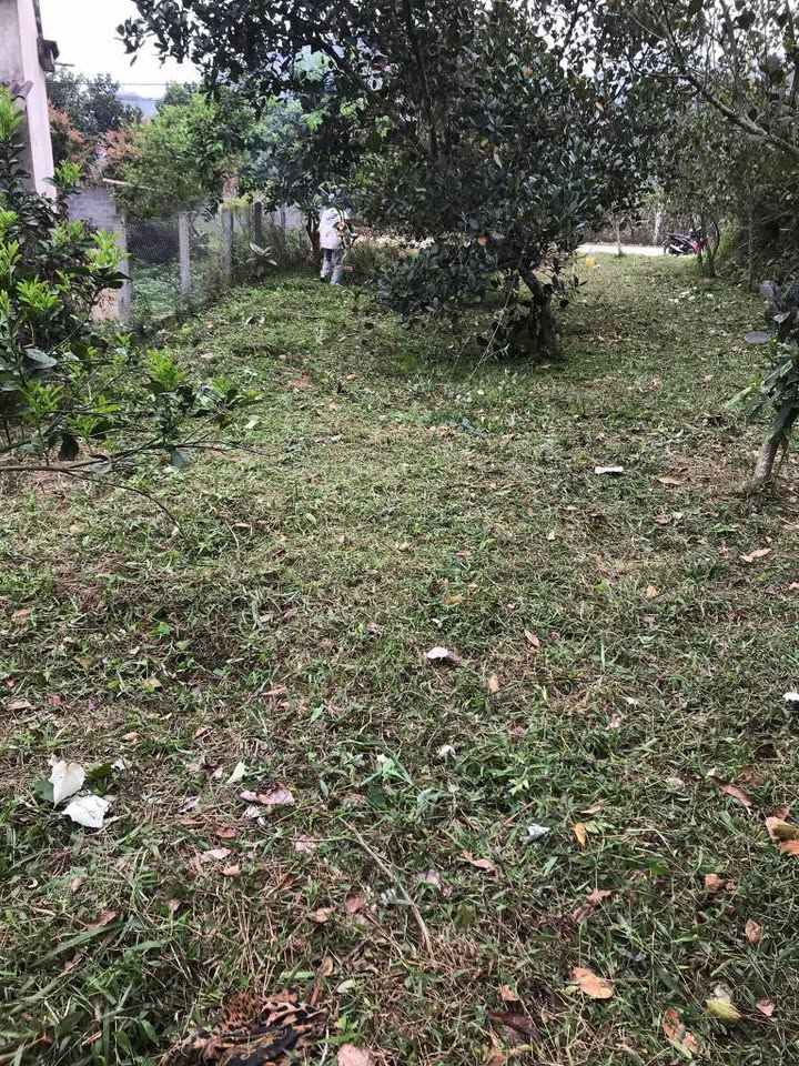 Đất nền chính chủ tại Xuân Thủy, Yên Lập, Phú Thọ 260m² - Giá tốt chỉ 500 triệu!