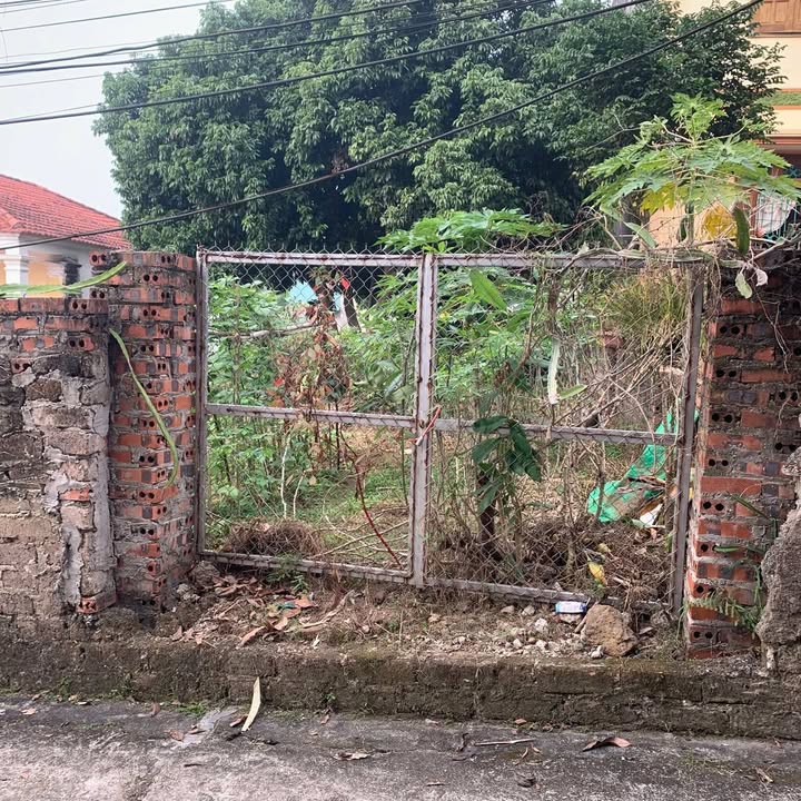 Đất nền Vân Phú, Việt Trì 86.8m² giá 1 tỷ - Cơ hội đầu tư tuyệt vời!