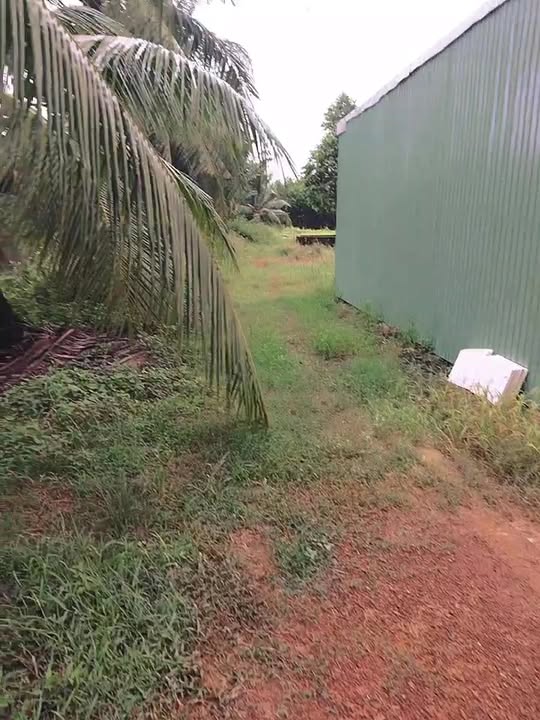 Đất Vĩnh An, Vĩnh Cửu 22000m² giá chỉ 6.8 tỷ - Cơ hội đầu tư hấp dẫn!