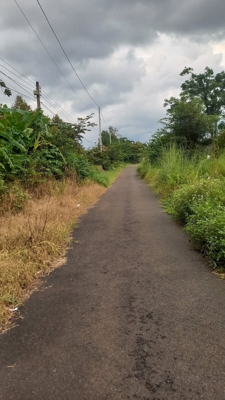 Đất nền ấp Thanh Thủy, Thanh Bình, 1200m² giá 3.3 tỷ - Đầu tư sinh lời ngay!