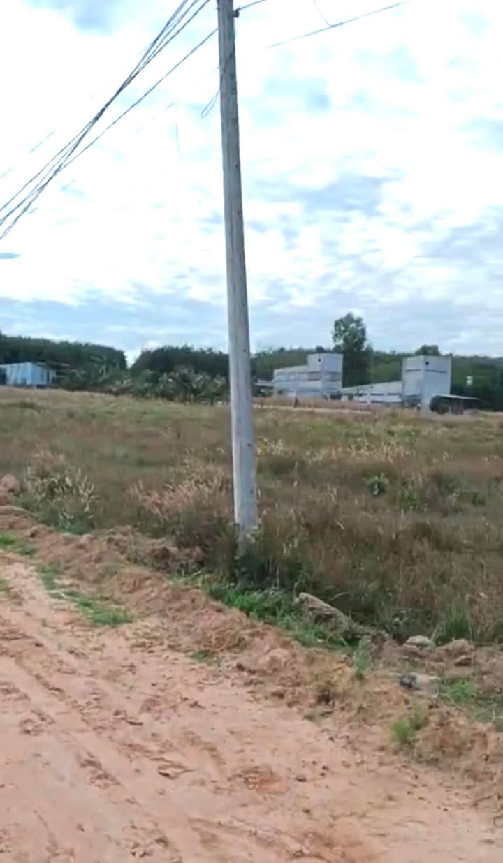 Đất nền Bàu Bàng 1000m² giá 850 triệu - Cơ hội đầu tư hấp dẫn!