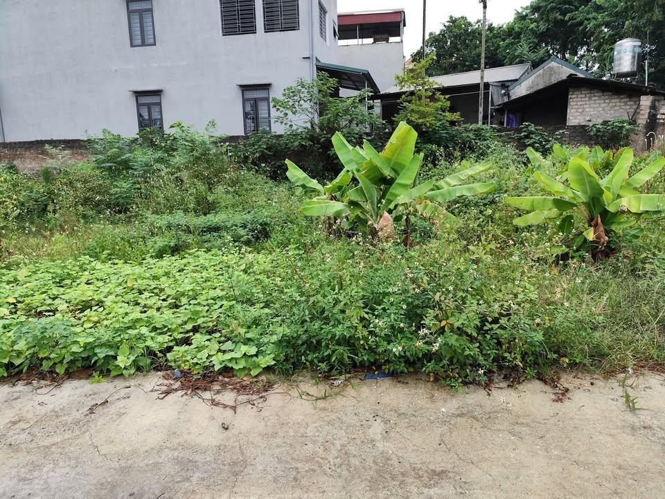 Đất ở Minh Phương, Việt Trì 73.9m² giá 1.4 tỷ - Tiềm năng đầu tư lớn!