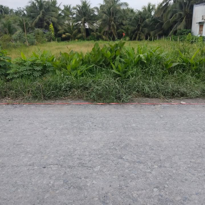 Đất nền Phong Nẫm, Giồng Trôm 271m² giá 600 triệu - Mặt tiền xe tải, kinh doanh thuận lợi!