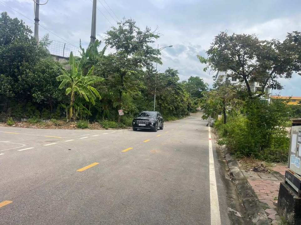 Đất KĐT Minh Phương Việt Trì 84m² giá 3 tỷ - Đầu tư sinh lời ngay!