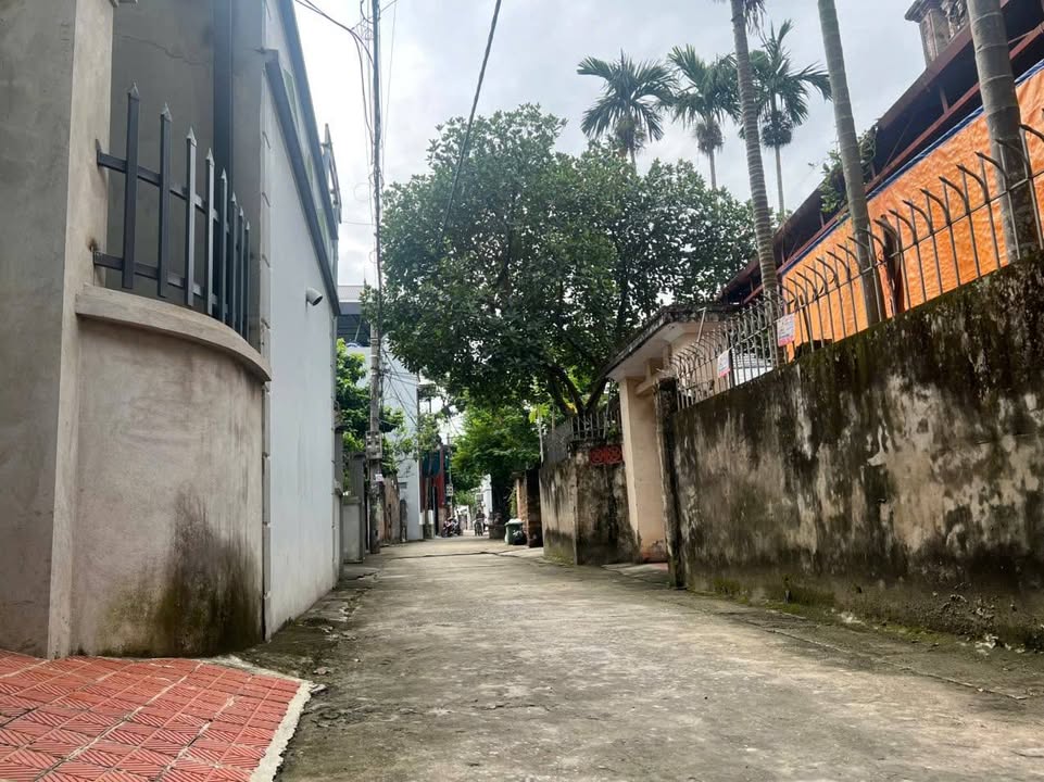 Đất thổ cư thôn Mọc Xá, xã Dân Hòa, 50m² giá 2 tỷ - Cơ hội đầu tư tuyệt vời!