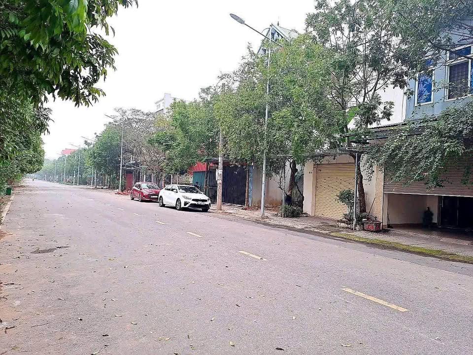 Đất nền Cụm kinh tế Đồng Tâm Vĩnh Yên 100m² giá 2.8 tỷ - View cánh đồng tuyệt đẹp!