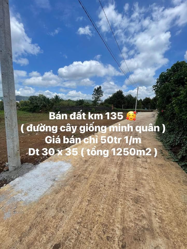 Đất nền Phú Lâm Tân Phú 1266m² giá 63.3 tỷ - Đầu tư sinh lời ngay!