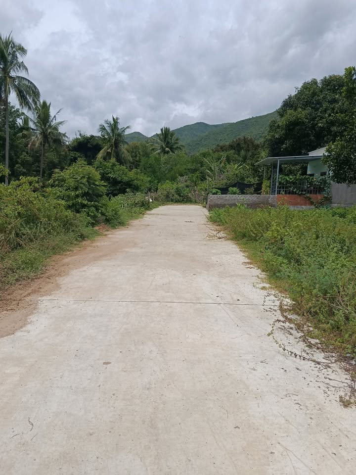 Đất nền Phước Đồng, Nha Trang 100m² giá 240 triệu - Sổ chung, đầu tư sinh lời!