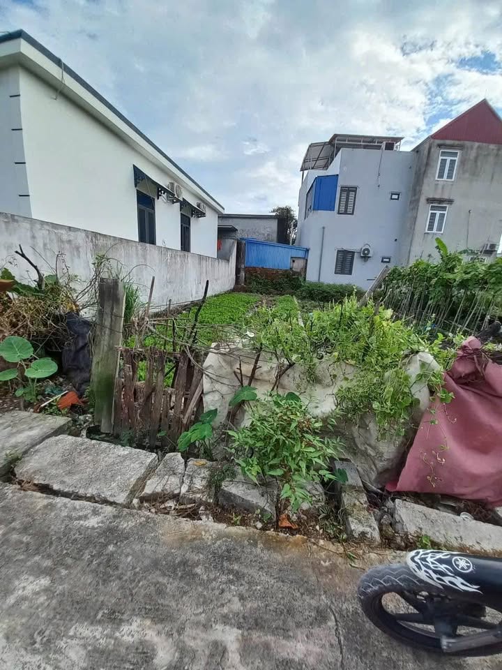 Đất nền An Hồng, Hồng Bàng 70m² giá 1.1 tỷ - Vị trí gần chợ Ngô Yến