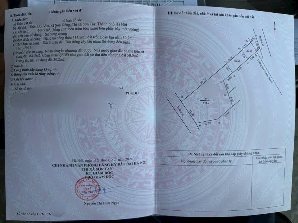 Đất thổ cư thôn Đồi Vua, Sơn Đông, Sơn Tây 444.7m² - Đầu tư sinh lời tuyệt vời!