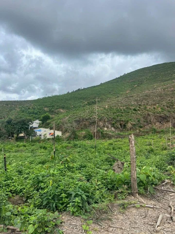 Đất Farm Thống Nhất Hạ Long 3837m² giá 6 tỷ - Nơi nghỉ dưỡng lý tưởng!