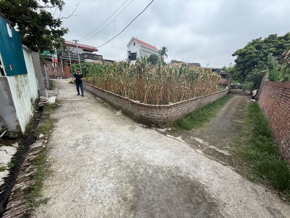 Đất nền phường Song Liễu, Bắc Ninh 74m² - Đầu tư sinh lời tuyệt vời!