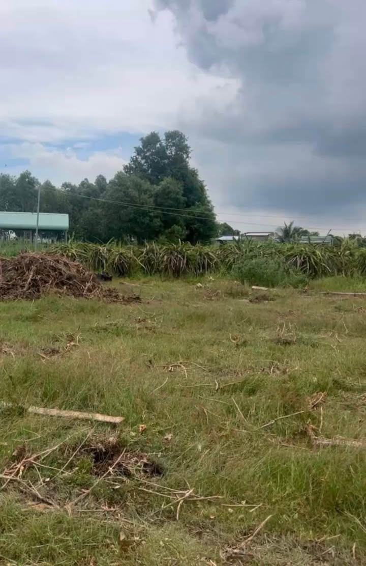 Đất vườn 1260m² Thôn 3, Hàm Liêm chỉ 850 triệu - Đầu tư sinh lời ngay!