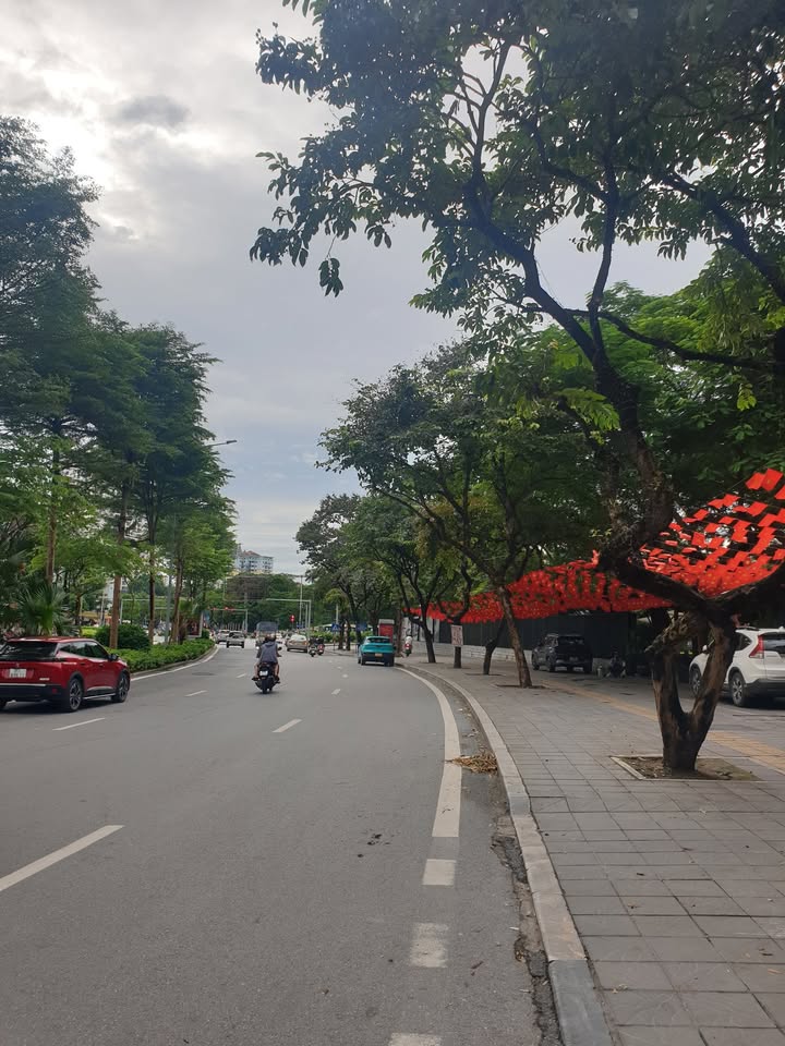 Nhà phố Nguyễn Khánh Toàn 90m² giá 25 tỷ - Vị trí đắc địa, ô tô để thoải mái!