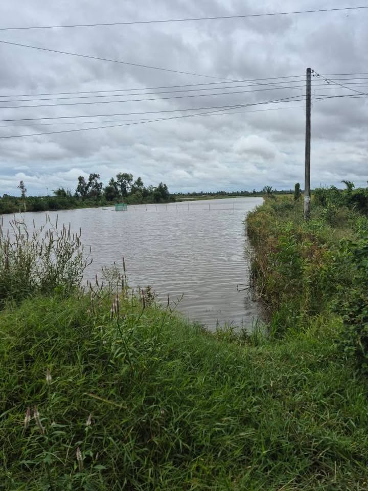 Đất nền + Ruộng Long Thạnh Giồng Riềng 38,800m² giá 2.328 tỷ - Cơ hội đầu tư hấp dẫn!