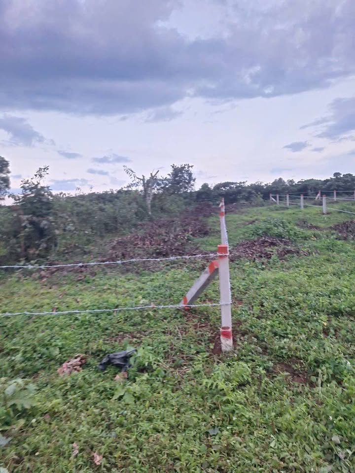 Đất nền Hẻm 412 Trường Sơn, Pleiku 170m² giá 399 triệu - Vị trí đẹp, pháp lý rõ ràng!