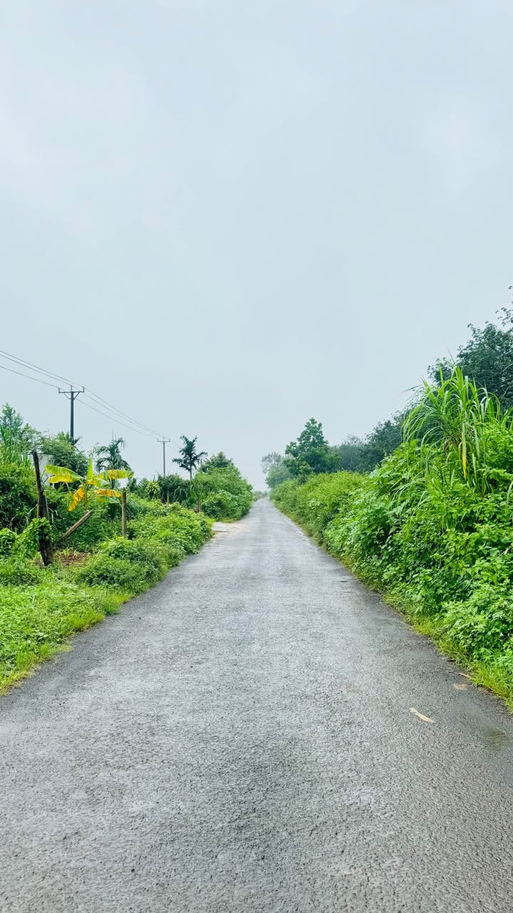 Đất nền Nguyễn Kiệm, Pleiku 175m² giá 310 triệu - Cơ hội đầu tư hấp dẫn!