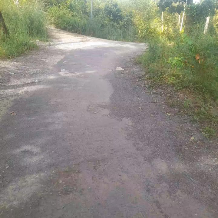 Đất ruộng 50.000m² tại Lương An Trà giá 1.75 tỷ - Mặt tiền đường lớn thuận tiện