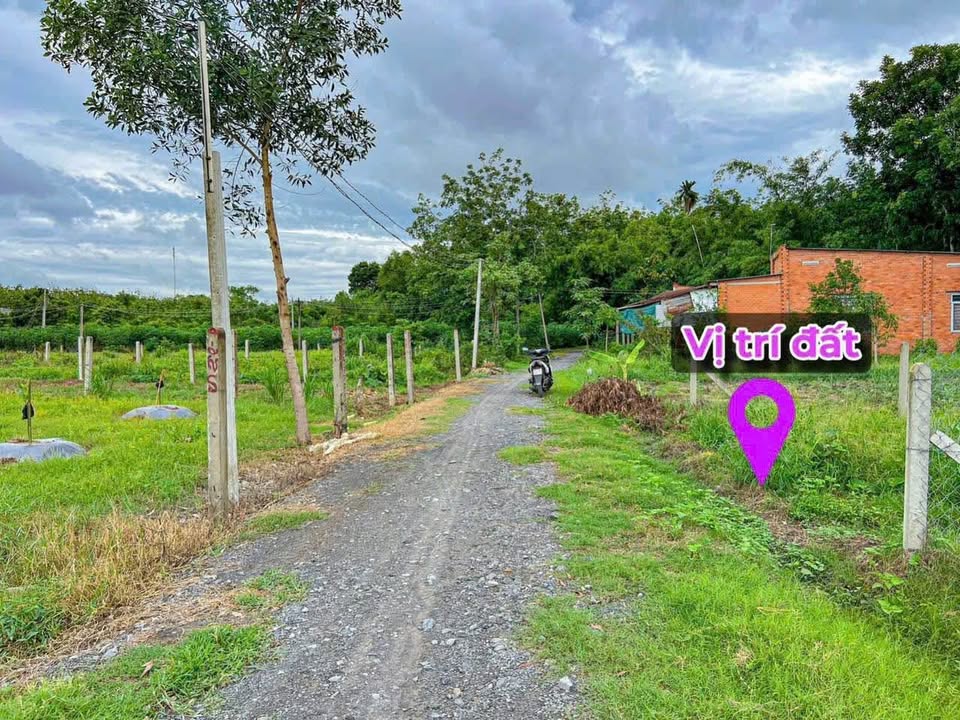 Đất thổ cư 939m² tại Gò Dầu, Tây Ninh giá 1.5 tỷ - Cơ hội đầu tư hấp dẫn!