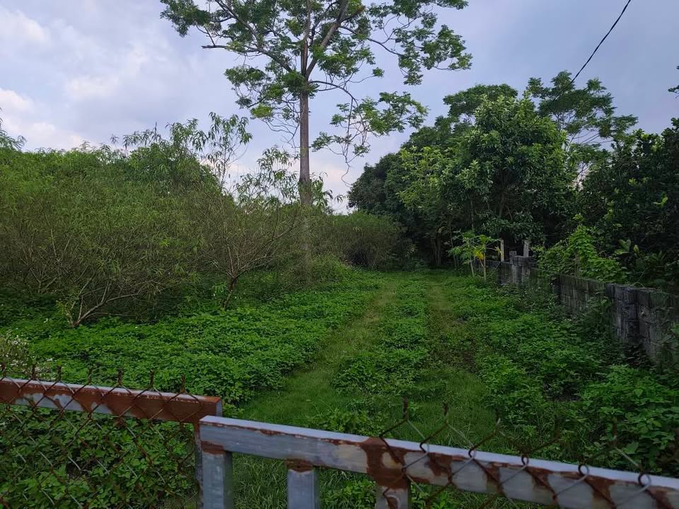 Đất nông nghiệp 4.764m² Liên Sơn, Lương Sơn, Hòa Bình - Giá chỉ 4.764 triệu VND