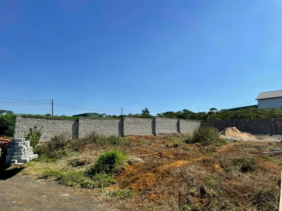 Bán lô đất nền biệt thự đường Phan Đình Phùng, Bảo Lộc 315m² - Giá tốt thương lượng!