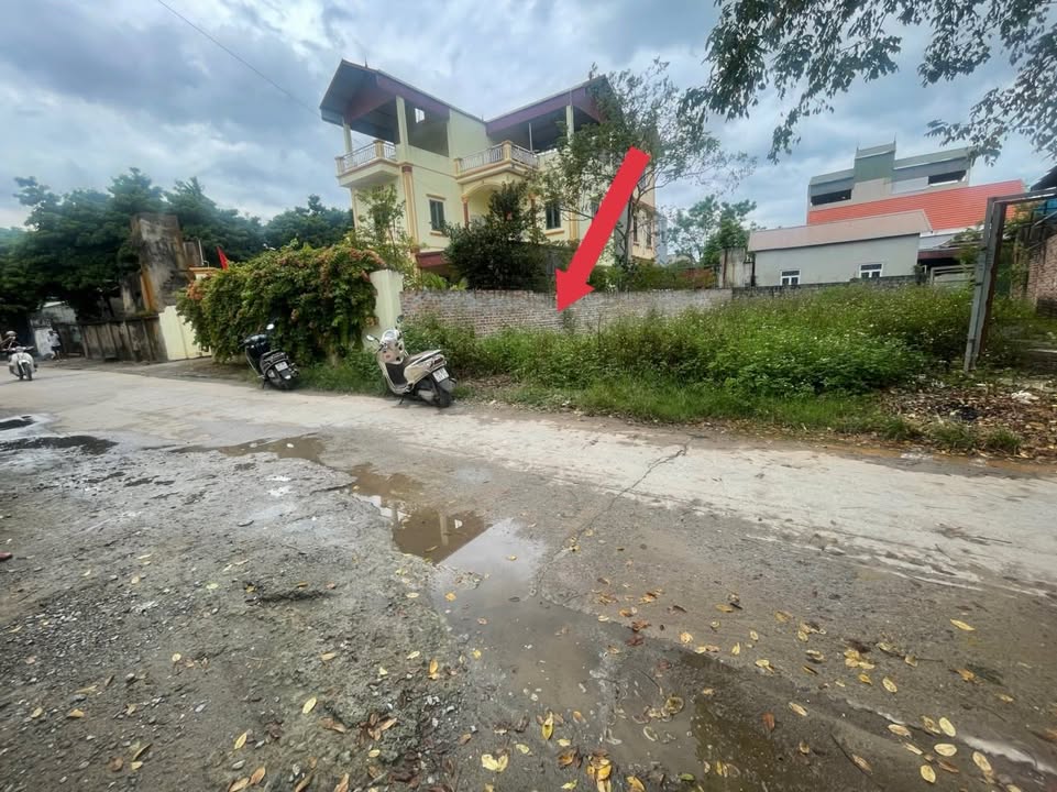 Đất nền mặt đường Thanh Mai Hà Đông 77m² - Kinh doanh sầm uất!