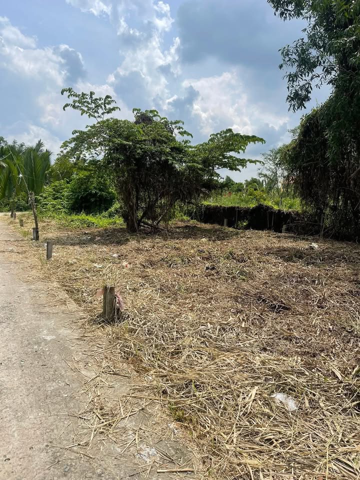 Đất thổ cư Phước Lại, Cần Giuộc 40m² giá 380 triệu - Cần tiền bán gấp!