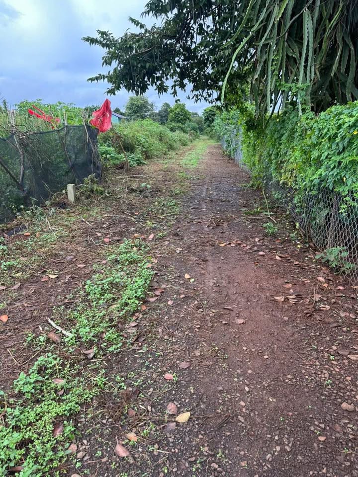 Đất thổ cư Trường Sơn, Pleiku 155m² chỉ 200 triệu - Cơ hội đầu tư hấp dẫn!