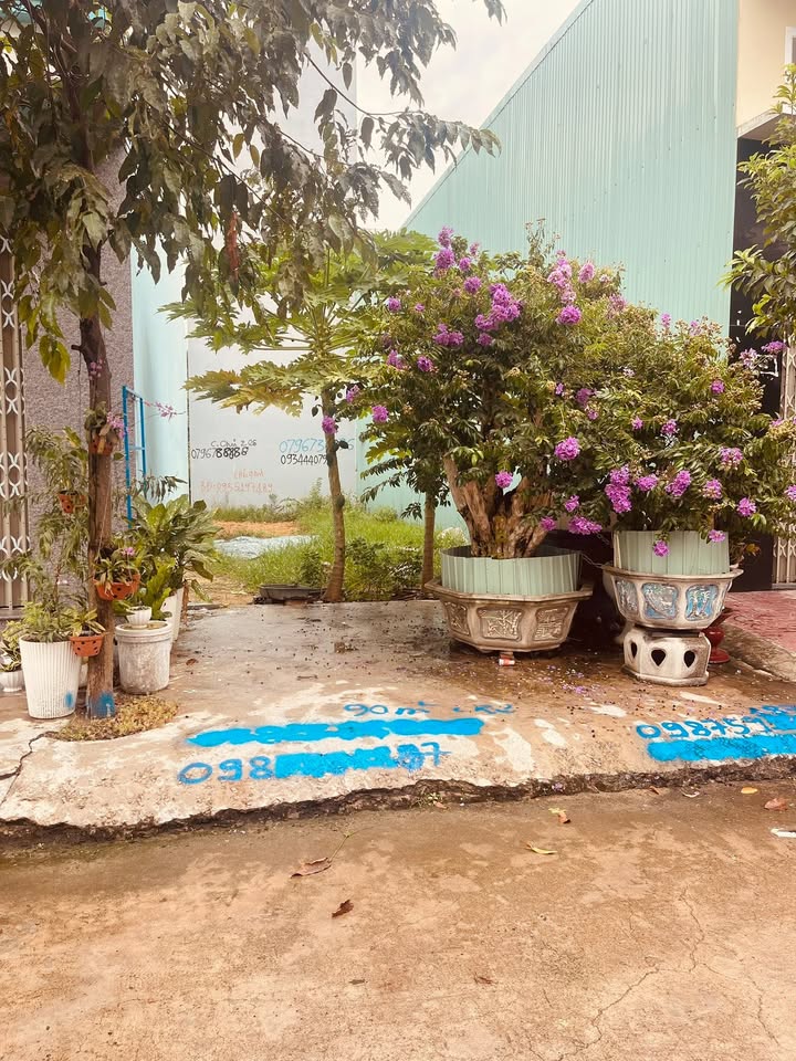 Đất Mặt Tiền Lê Văn Thủ Quy Nhơn 90m² giá 2 tỷ - Đầu tư sinh lời ngay!