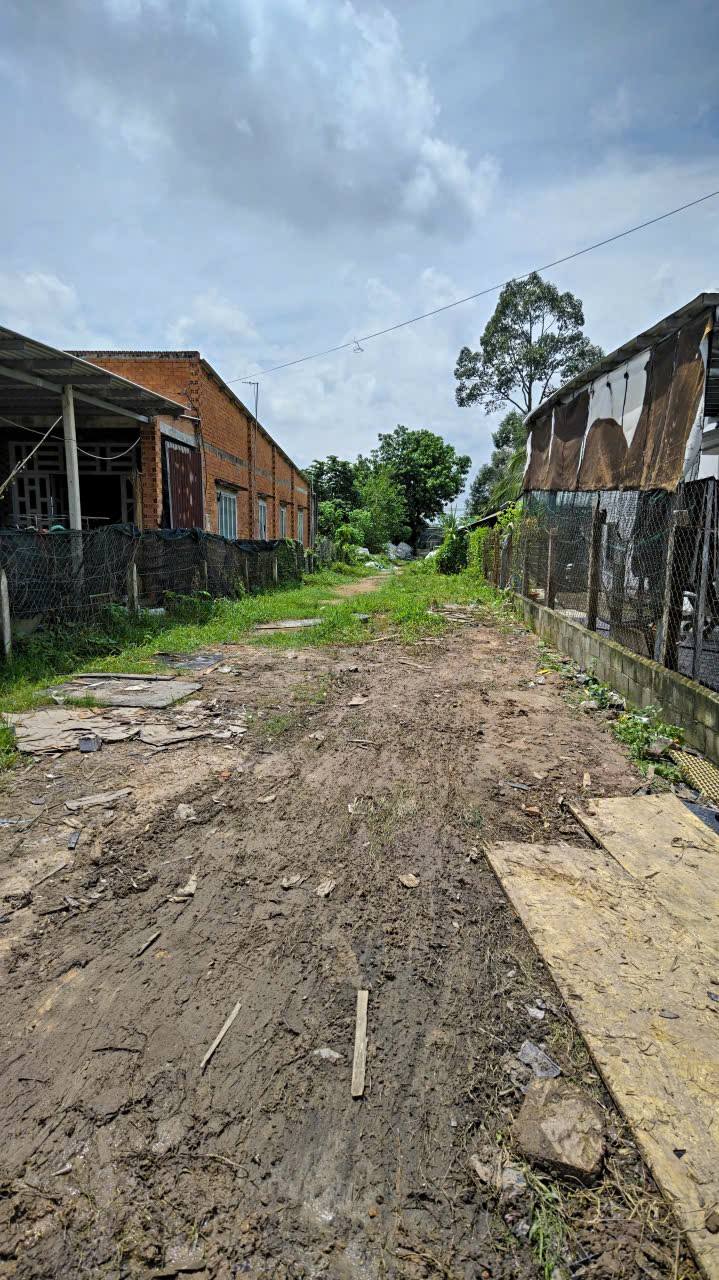 Lô đất 2 mặt tiền đường Basa 365m² giá chỉ 3.95 tỷ - Siêu phẩm đầu tư tại Củ Chi!