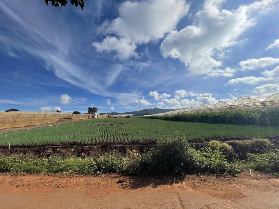 Đất nền Đơn Dương 72m² giá 940 triệu - Đầu tư lâu dài và nghỉ dưỡng lý tưởng!