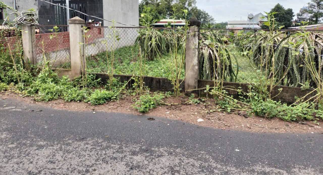 Đất nền chính chủ tại xã Hòa Hưng, Xuyên Mộc, Bà Rịa - Vũng Tàu 3200m² giá 1.4 tỷ - Đầu tư sinh lời ngay!