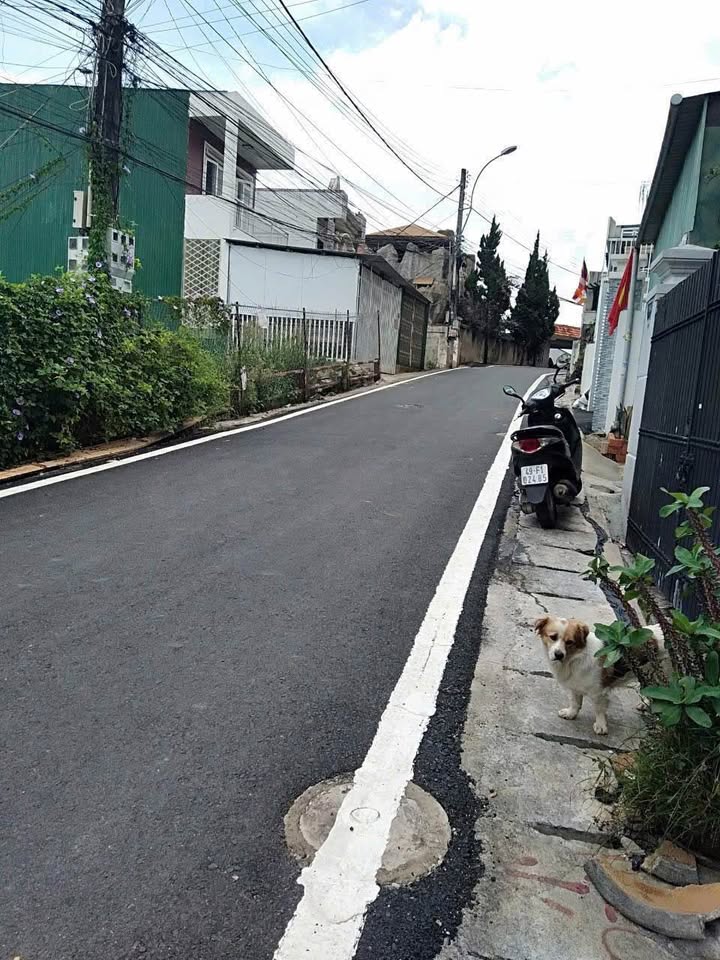 Bán nhà mặt tiền đường Cổ Loa, Đà Lạt 57m² giá 6.5 tỷ - Cơ hội kinh doanh tuyệt vời!