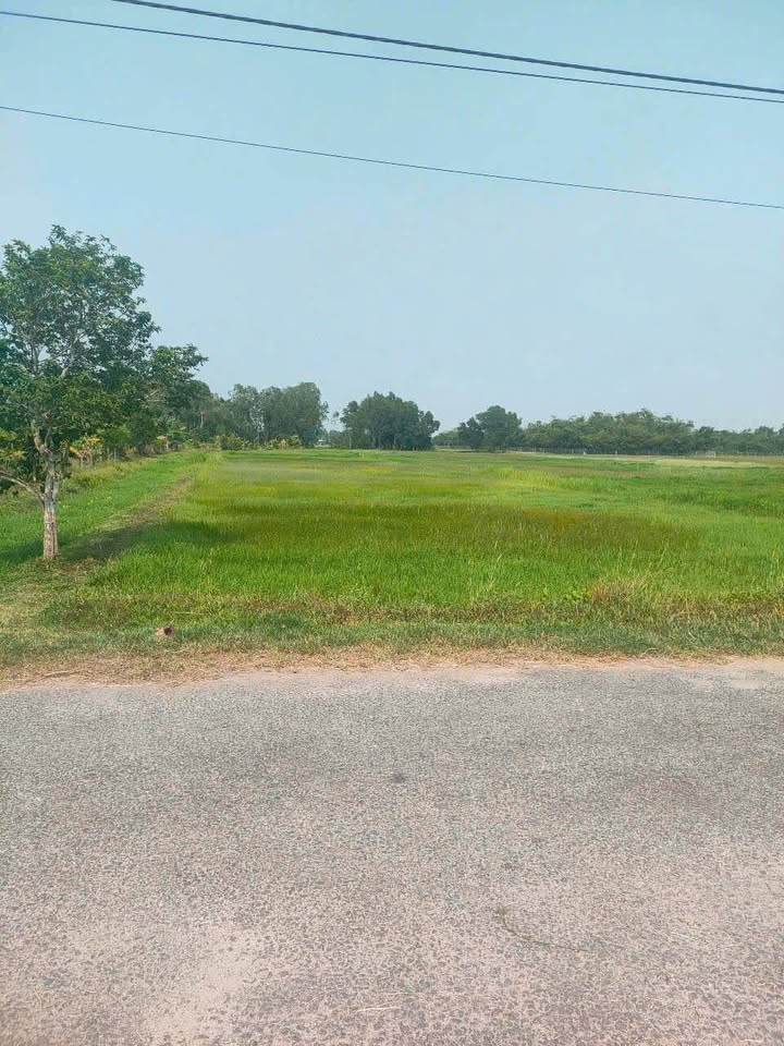 Đất mặt tiền Phú Mỹ Hưng Củ Chi 1672m² giá 3.9 tỷ - Cơ hội đầu tư sinh lời!