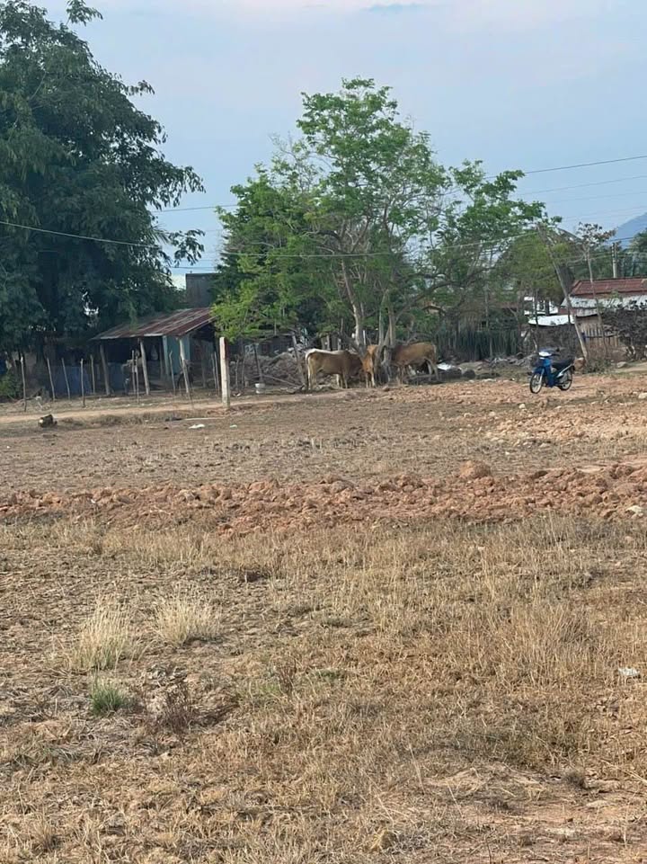 Đất nền thôn Ku Kê, xã Thuận Minh 2300m² giá 570 triệu - Cơ hội đầu tư hấp dẫn!