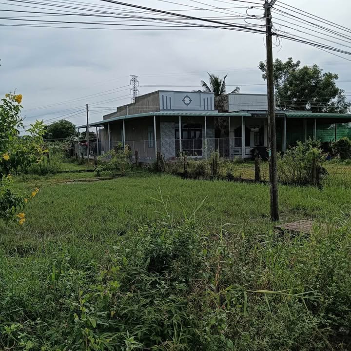 Đất thổ cư 243m² thôn Bình An, xã Hàm Liêm - Mặt tiền 12m chỉ 450 triệu!