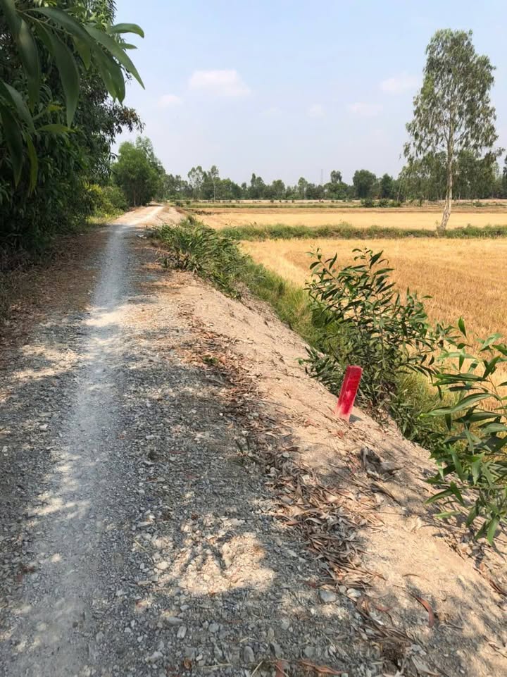 Đất nền Hòa Khánh Nam, Đức Hòa 1071m² giá 2 tỷ - Cơ hội đầu tư lý tưởng!