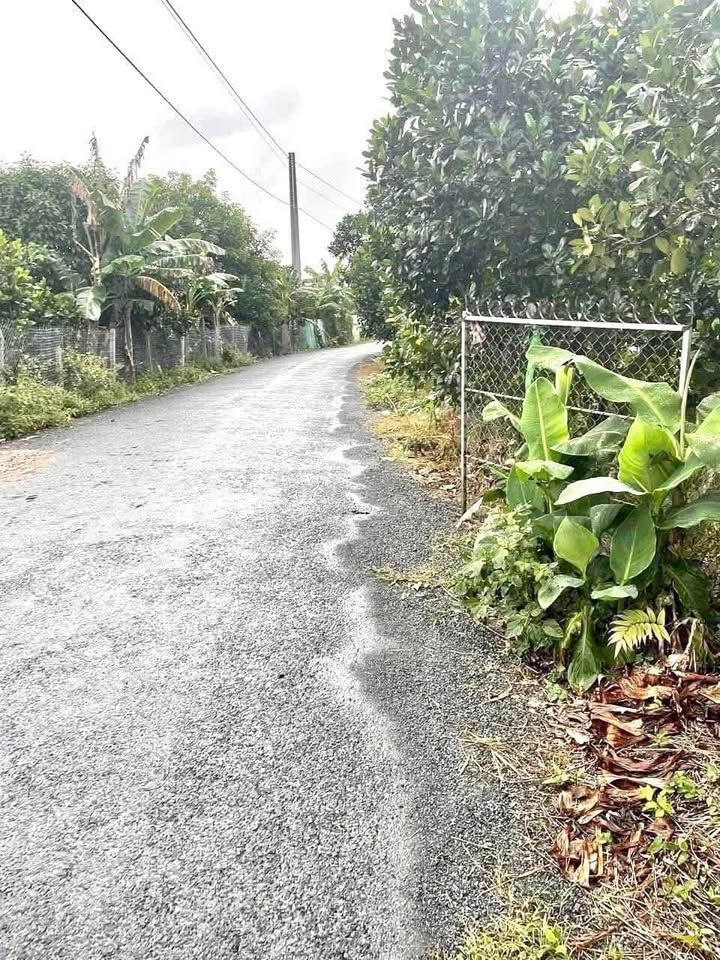 Đất thổ cư Cái Vồn 500m² giá chỉ 2.3 tỷ - Đầu tư sinh lời ngay!