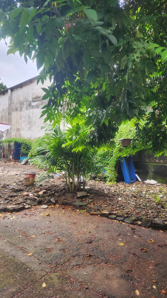 Đất nền 200m² đường Thạnh Mỹ Lợi, giá 10 tỷ - Sổ đỏ chính chủ, xây dựng tự do!