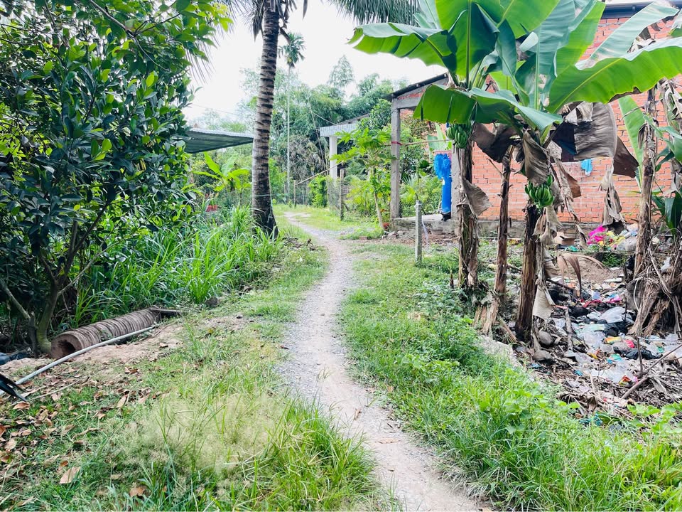 Đất vườn nghỉ dưỡng Hòa Ninh 700m² giá 750 triệu - Cơ hội đầu tư tuyệt vời!