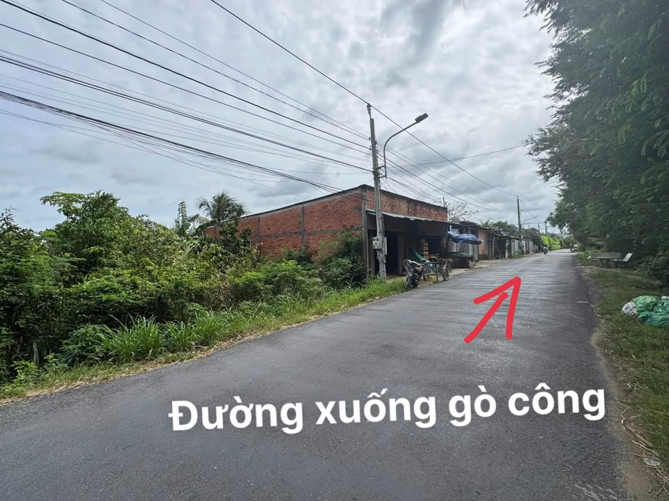 Đất nền 1040m² xã Song Bình, huyện Chợ Gạo - Giá chỉ 3 tỷ, thuận tiện kinh doanh!