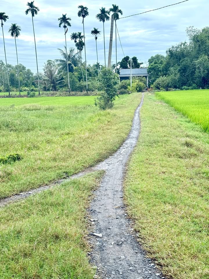 Đất thổ cư Hòa Khánh Đông, Đức Hòa 120m² chỉ 680 triệu - Tiềm năng đầu tư tuyệt vời!